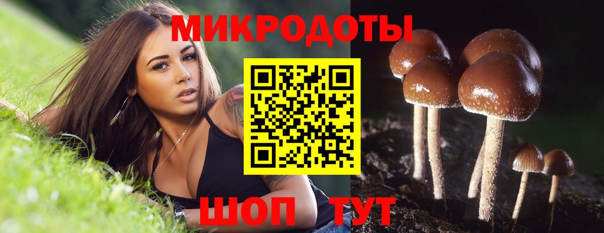 Псилоцибиновые грибы Magic Shrooms Магадан