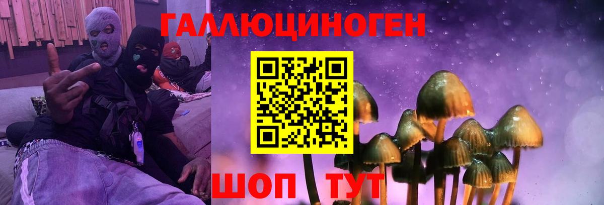 Псилоцибиновые грибы мухоморы  Вход с VPN  Галлюциногенные грибы Psilocybine cubensis  Магадан 